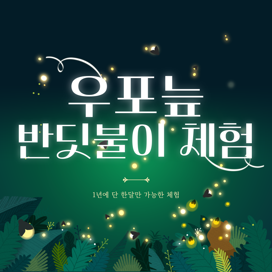우포늪 반딧불이 체험