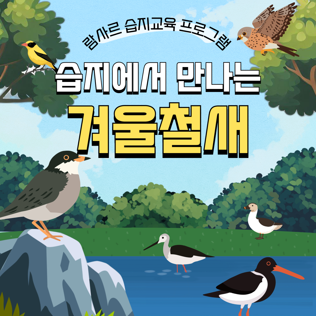 습지에서 만나는 겨울철새